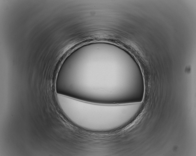 X0000098041065200803280749