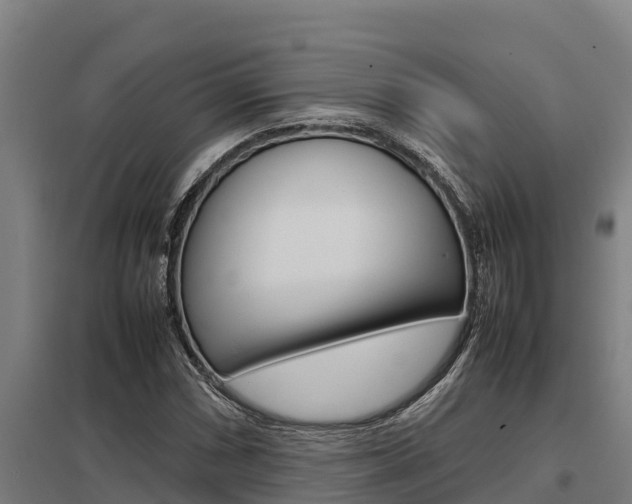 X0000098041066200803280749