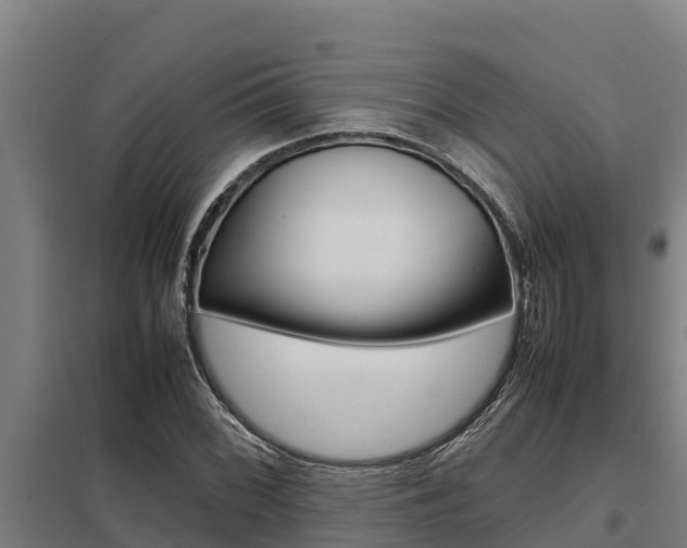 X0000098041068200803280749