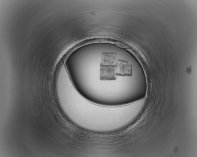 X0000098041069200803280749