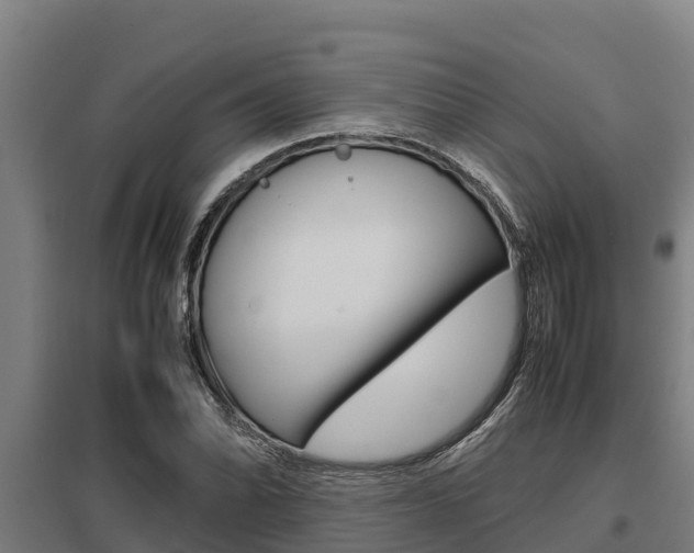 X0000098041070200803280749