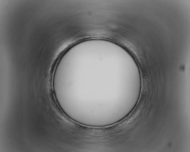X0000098041071200803280749