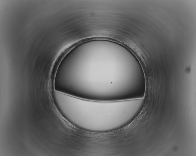 X0000098041072200803280749