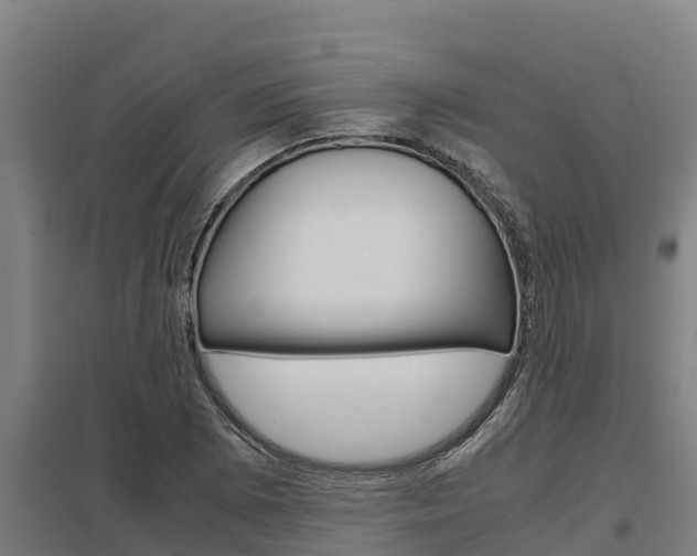 X0000098041073200803280749