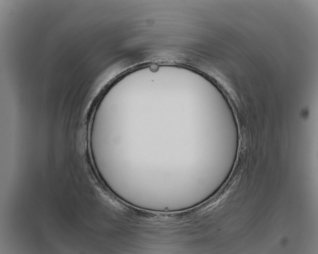 X0000098041075200803280749