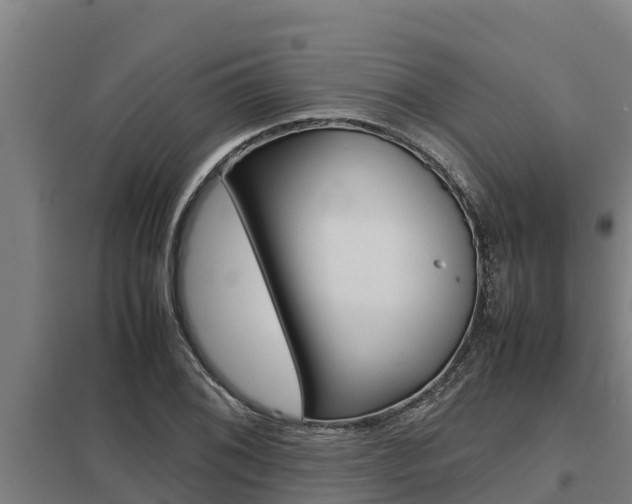 X0000098041076200803280749