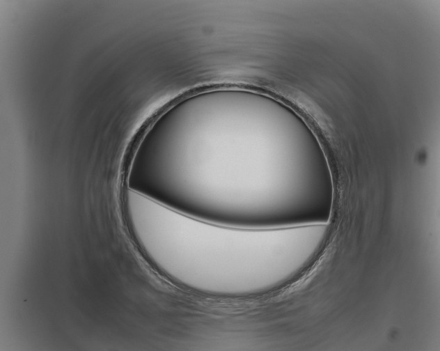X0000098041077200803280749