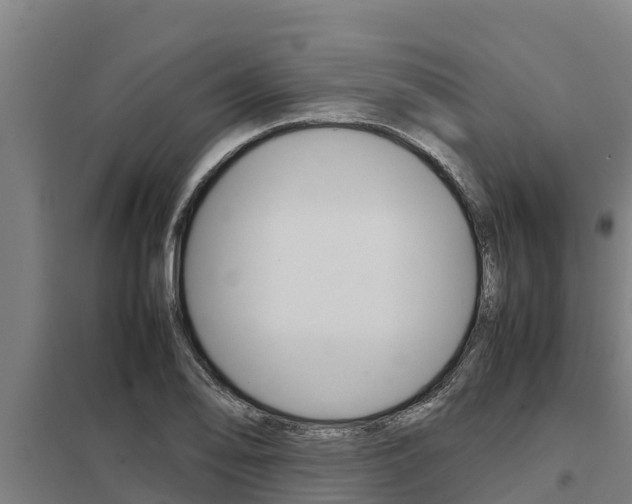 X0000098041078200803280749