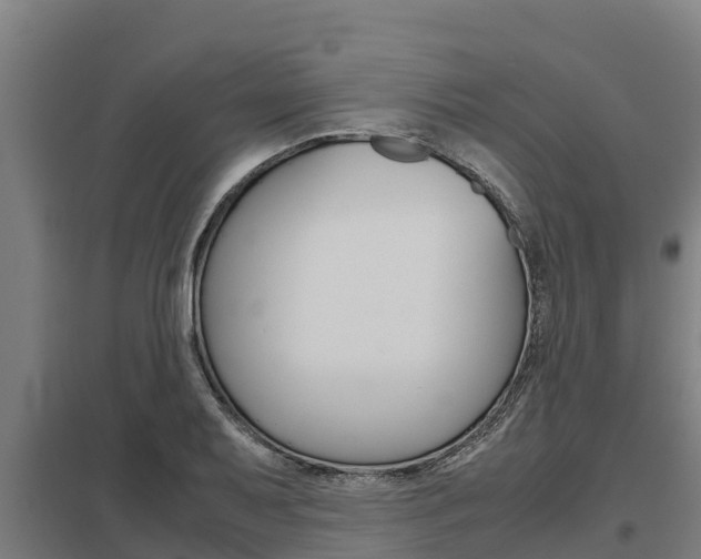 X0000098041079200803280749