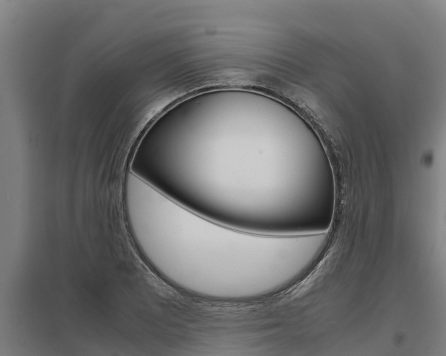 X0000098041081200803280749