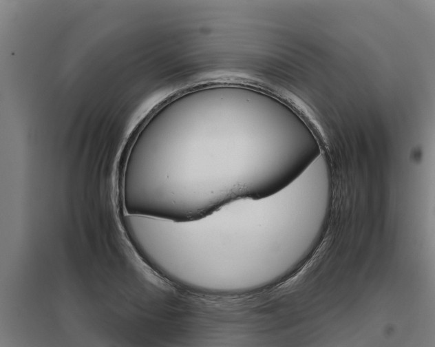 X0000098041082200803280749
