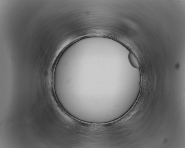X0000098041083200803280749