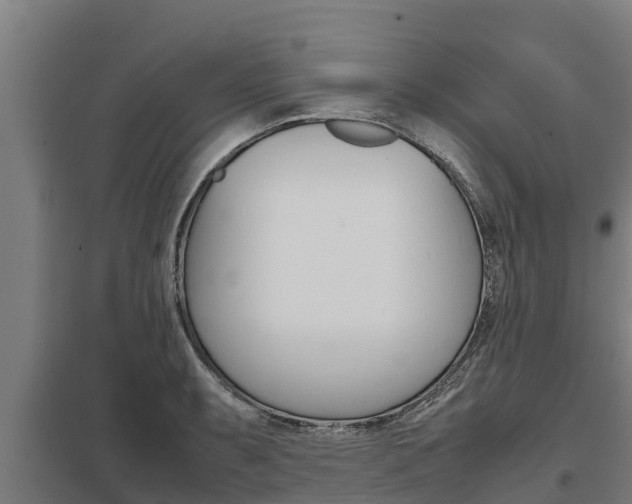 X0000098041087200803280749