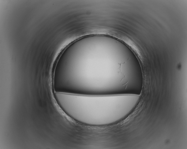 X0000098041088200803280749