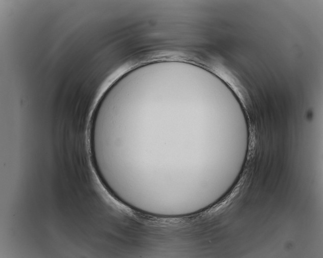 X0000098041090200803280749