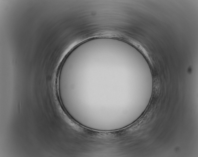 X0000098041091200803280749