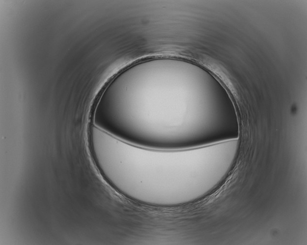 X0000098041093200803280749