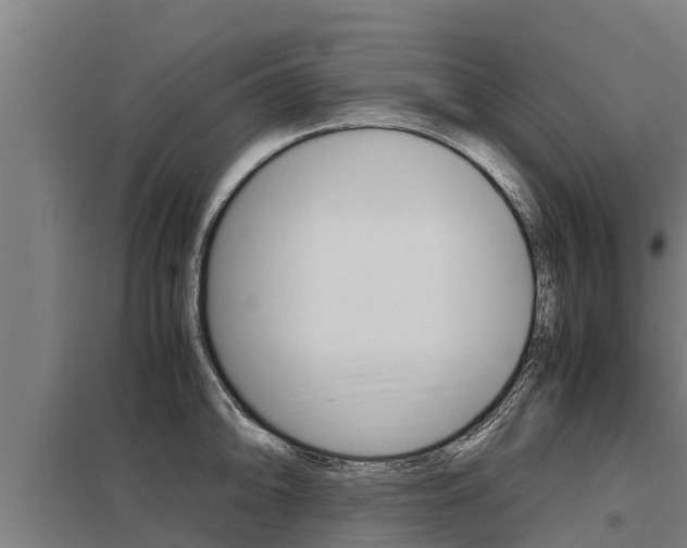 X0000098041094200803280748