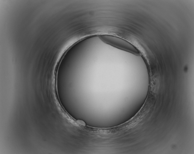 X0000098041096200803280748