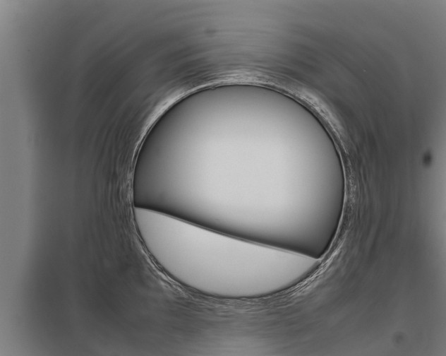 X0000098041097200803280748