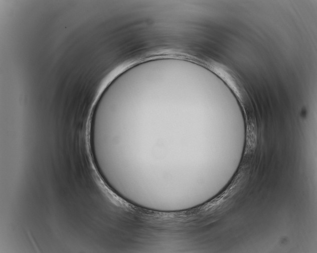 X0000098041098200803280748