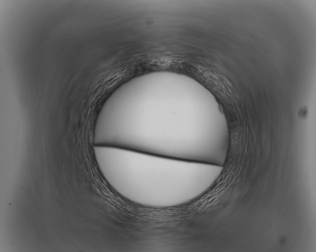 X0000098041105200803280748