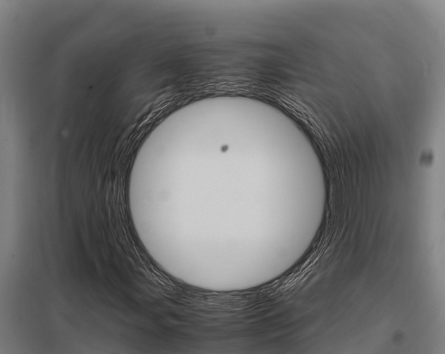 X0000098041107200803280748