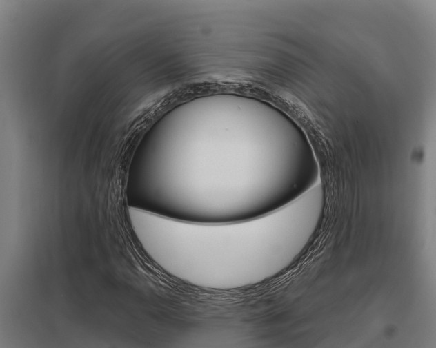 X0000098041110200803280748