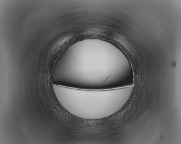 X0000098041111200803280748