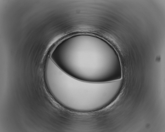 X0000098041114200803280748