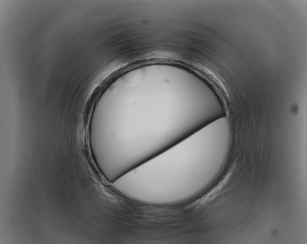 X0000098041117200803280748