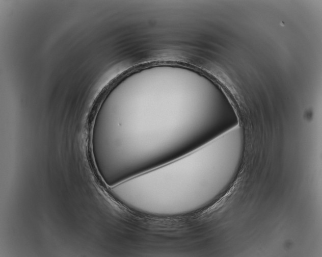 X0000098041119200803280748