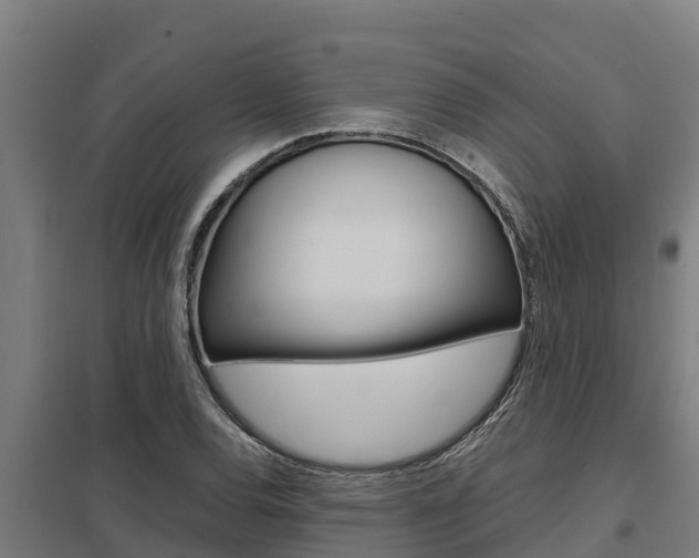 X0000098041120200803280748