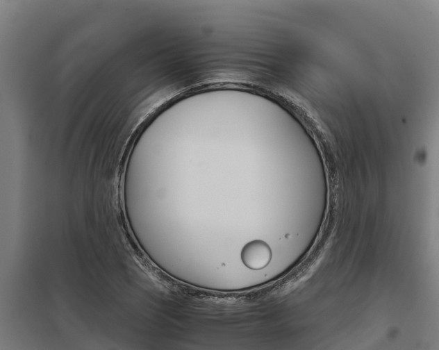 X0000098041121200803280748