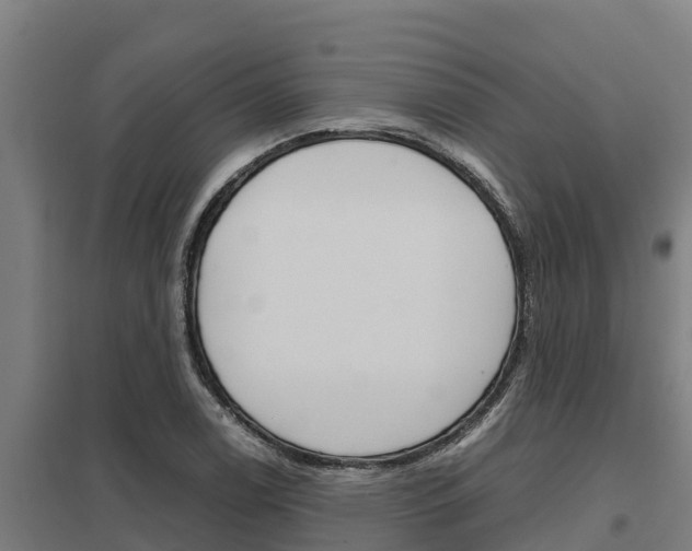 X0000098041122200803280748