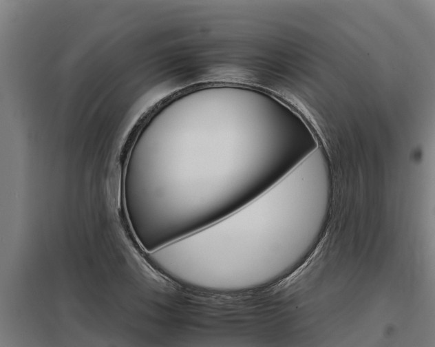X0000098041123200803280748