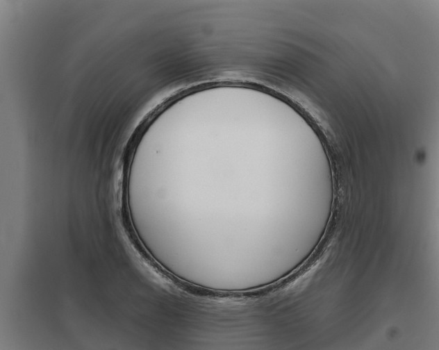 X0000098041126200803280748