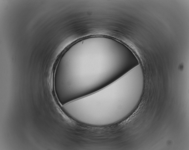 X0000098041127200803280748