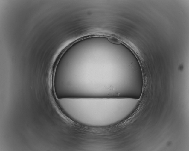 X0000098041128200803280748