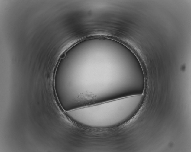 X0000098041129200803280748