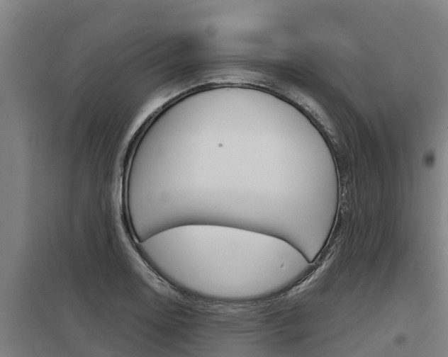 X0000098041130200803280748