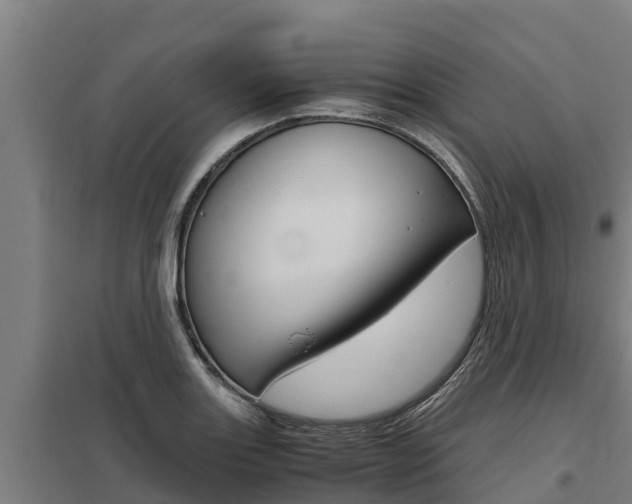 X0000098041131200803280748