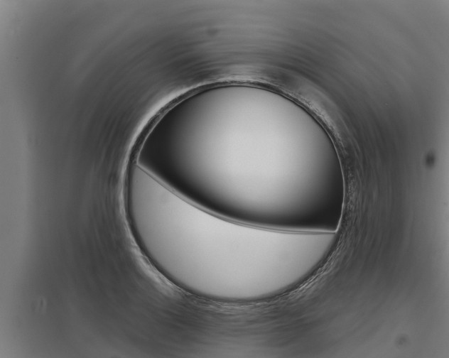 X0000098041132200803280748
