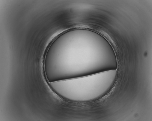 X0000098041133200803280748