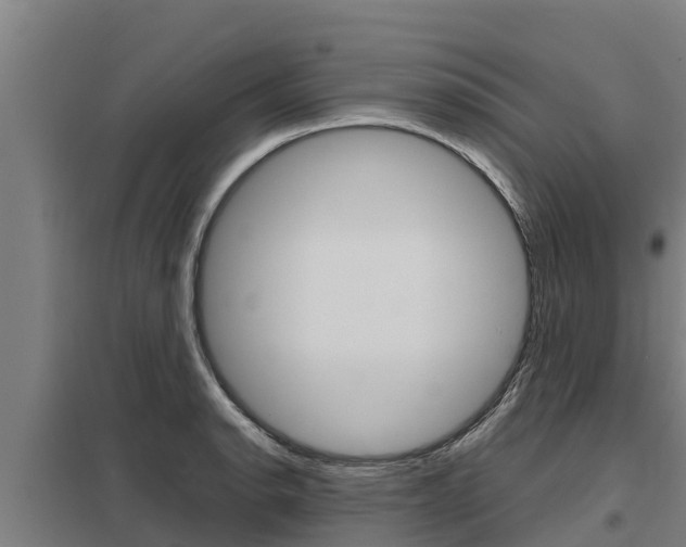 X0000098041134200803280748