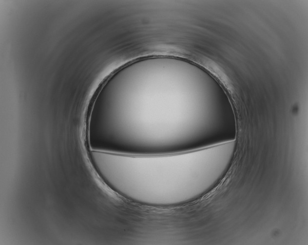X0000098041136200803280748