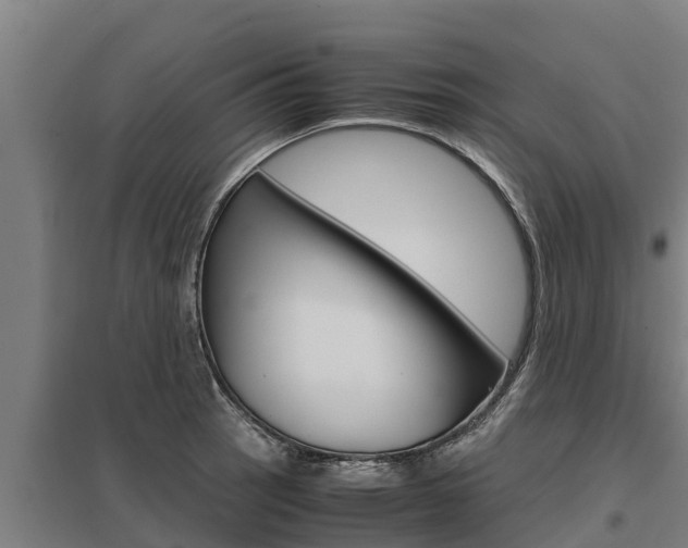 X0000098041137200803280748