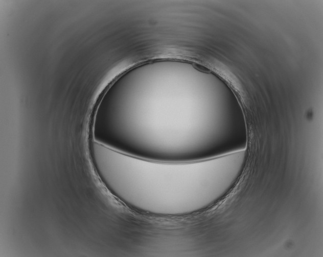 X0000098041138200803280748
