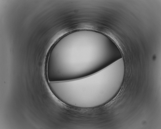 X0000098041139200803280748
