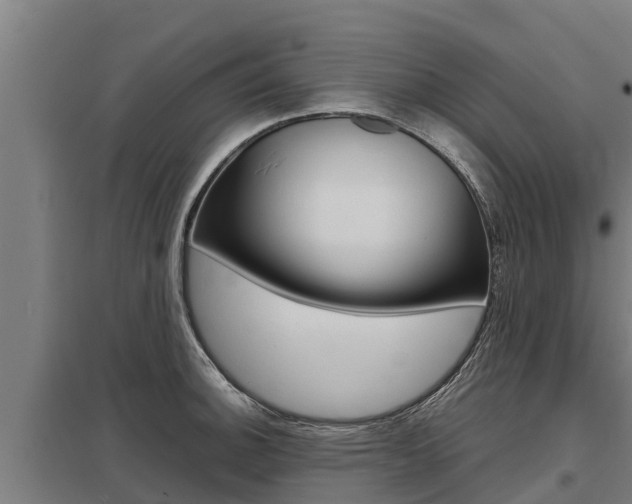 X0000098041140200803280748